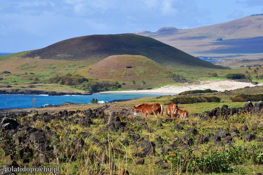 Plaża Anakena, Rapa Nui