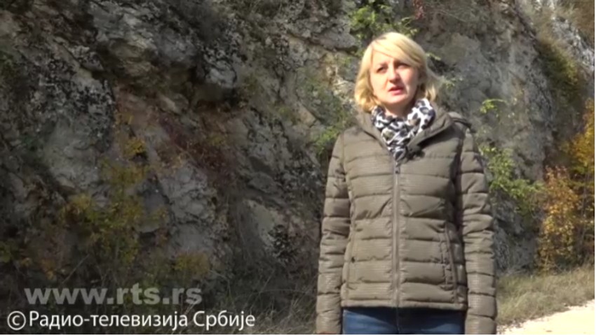 Kustos Bojana Ilijić