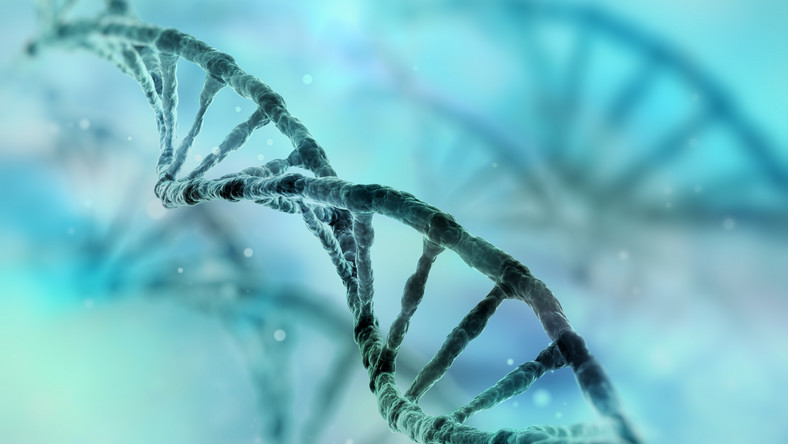 Australijscy naukowcy po raz pierwszy zidentyfikowali w ludzkich komórkach strukturę DNA zwaną i-motif – informuje pismo "Nature Chemistry".