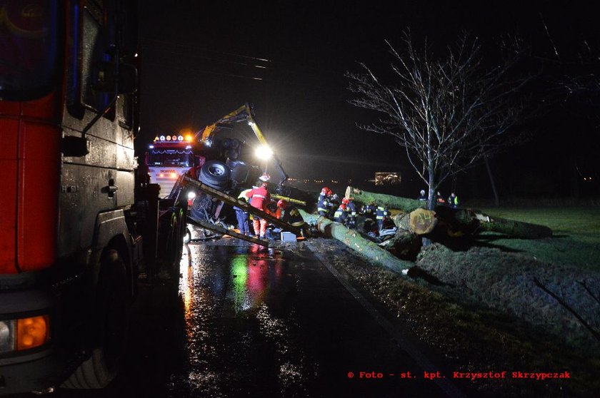 Tragedia pod Rawiczem. Kłody drewna przygniotły kierowcę