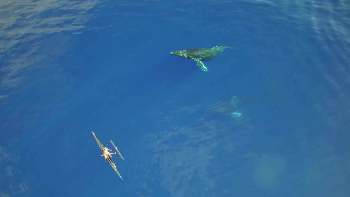 Krótki film nagrano na Hawajach w pobliżu wybrzeży Maui, czyli drugiej co do wielkości wyspy tego archipelagu. Widać na nim kajkajarza i surfera, którzy pływali tuż nad grupą wielkich humbaków.