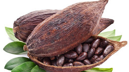 Masło kakaowe - skład i zastosowanie. Wpływ masła kakaowego na pracę serca i mózgu.
