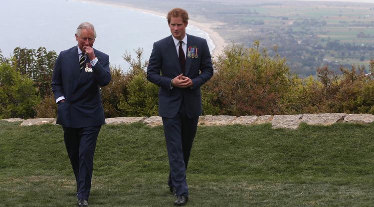 Harry herceg megtette az első lépést a békülés felé? Fotó: Getty Images