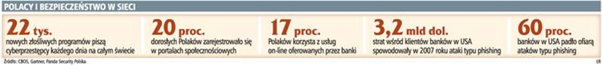Polacy i bezpieczeństwo w sieci