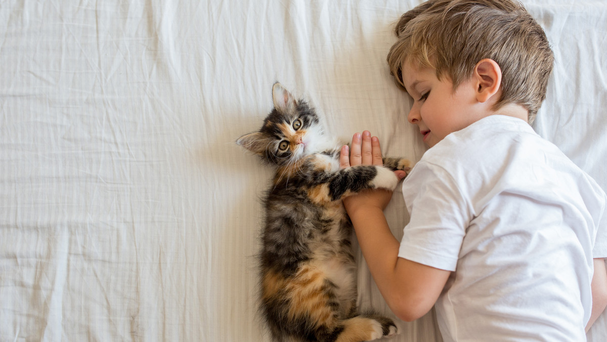 Kot w domu: życie z dzieckiem, bezpieczeństwo, zasady, higiena