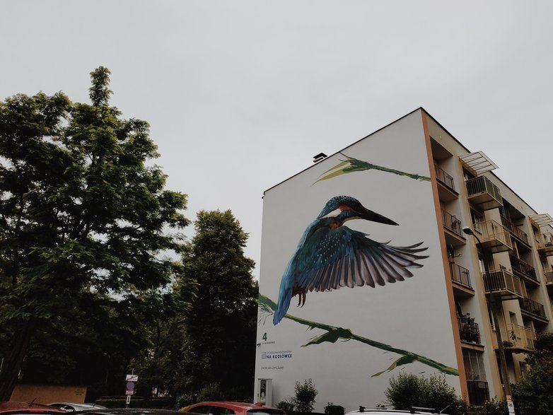 Mural z zimorodkiem w Krakowie