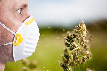 Allergiásan a nyaralást is körültekintőbben kell előkészíteni