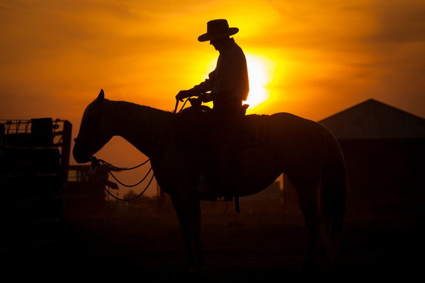 Western na małym ekranie. HBO szykuje serial o Dzikim Zachodzie