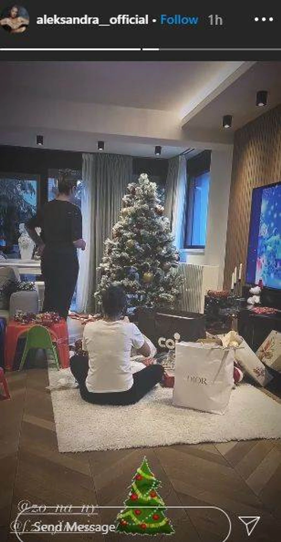 Aleksandra Prijović kiti jelku