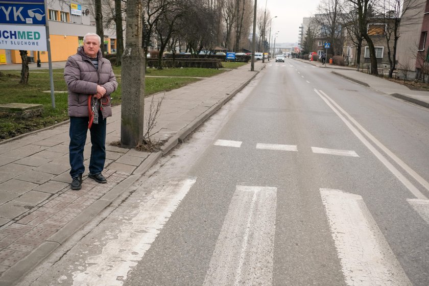 Katowice. Pies Newton zginął na przejściu potrącony przez kierowcę