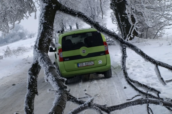 Fiat Qubo