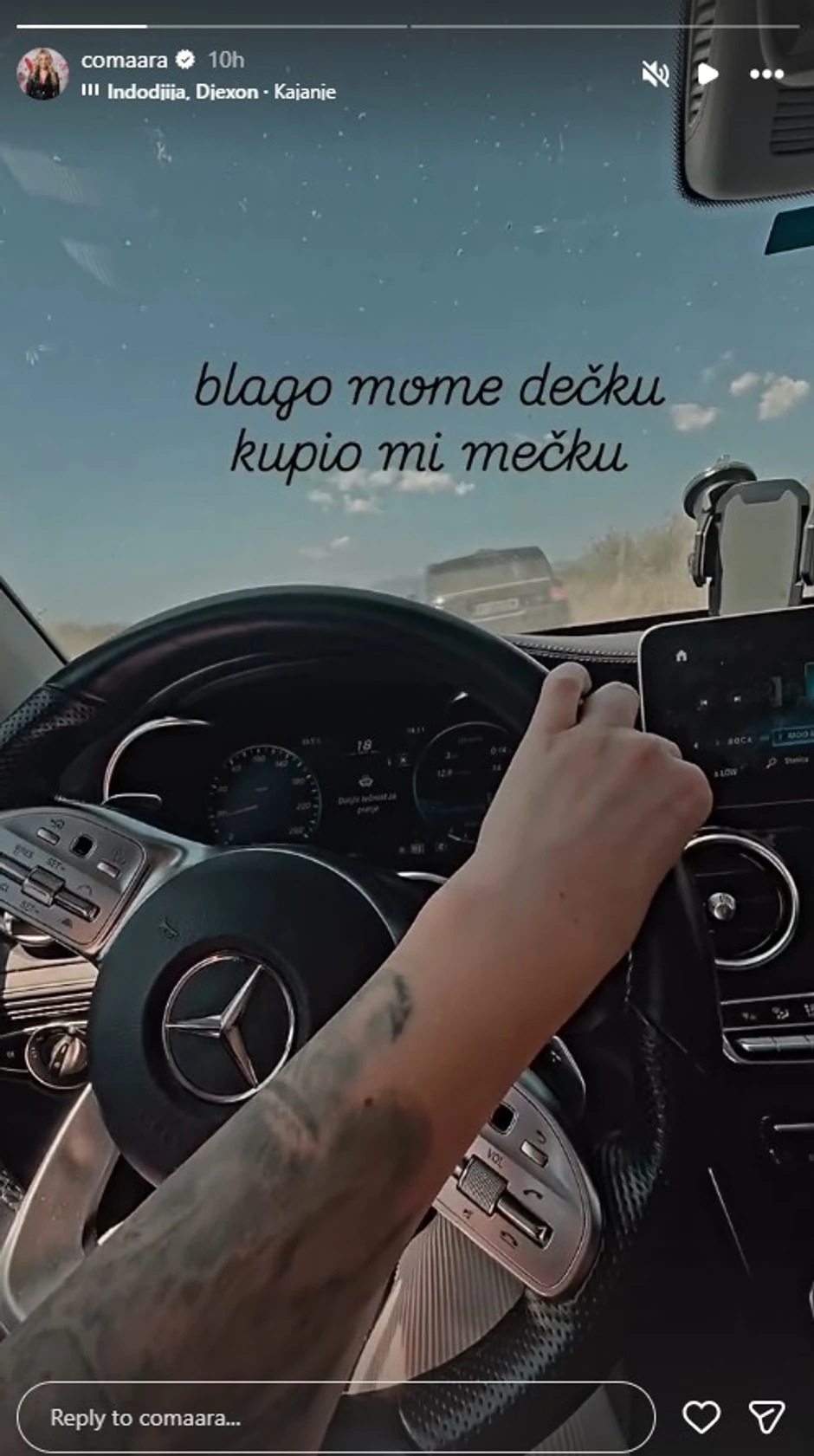 Milica Veličković, objava