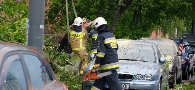 Gwałtowne burze nad Polską. Przewrócone drzewa i zalane piwnice [ZDJĘCIA]