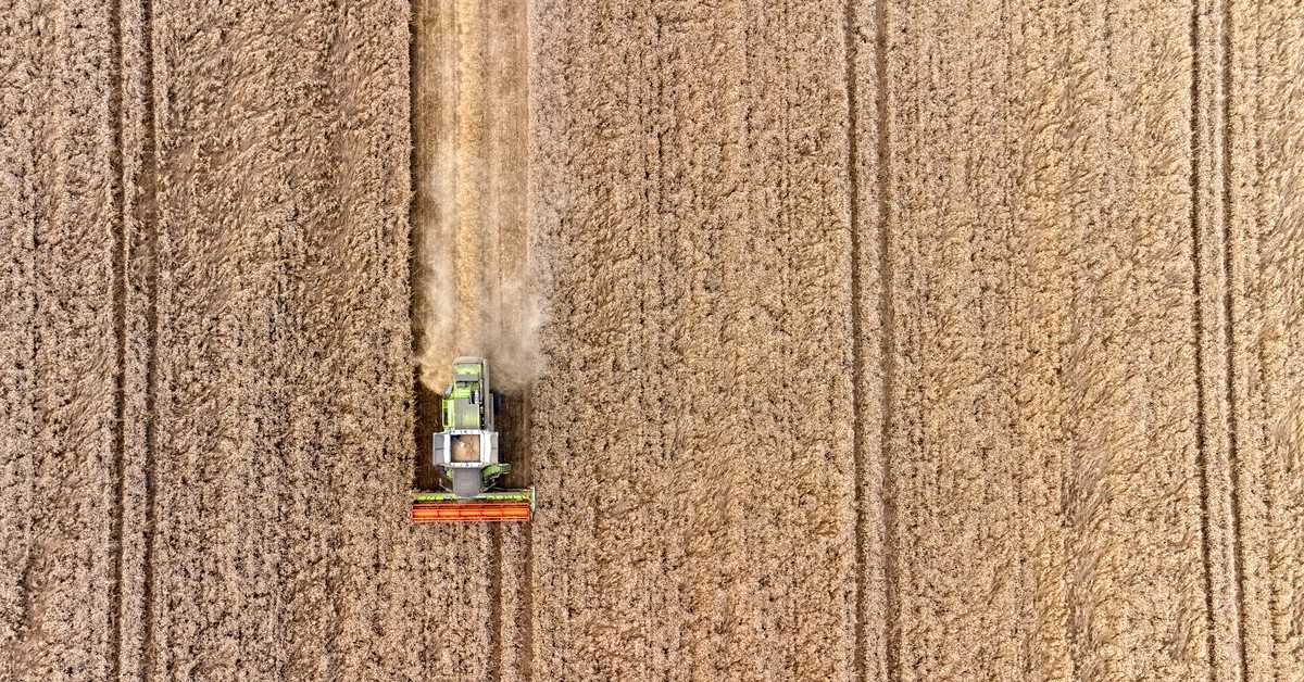 Ustne umowy dzierżawy dopuszczalne, ale trudno je udowodnić