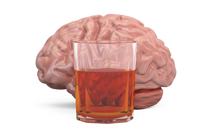 Az alkoholtól tényleg elsorvad az agyunk