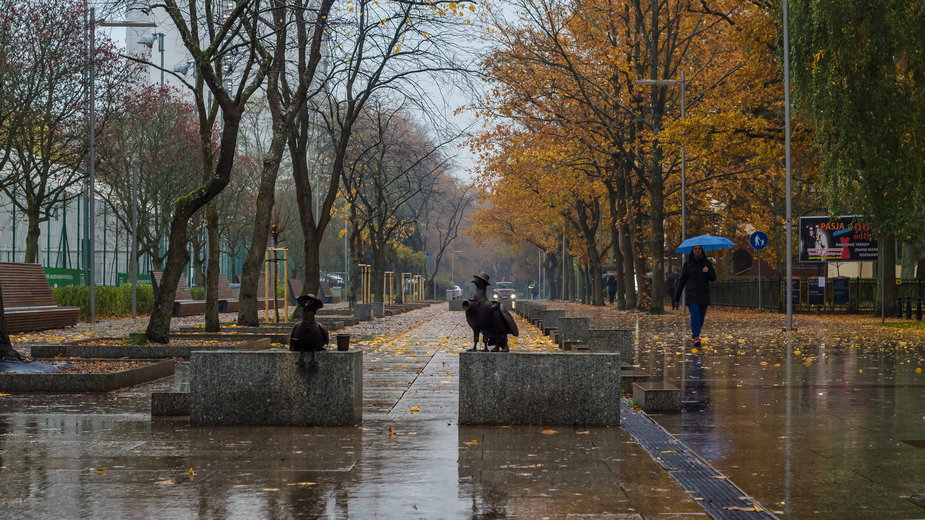Autumn in Poland will also sometimes show its cloudy and rainy face