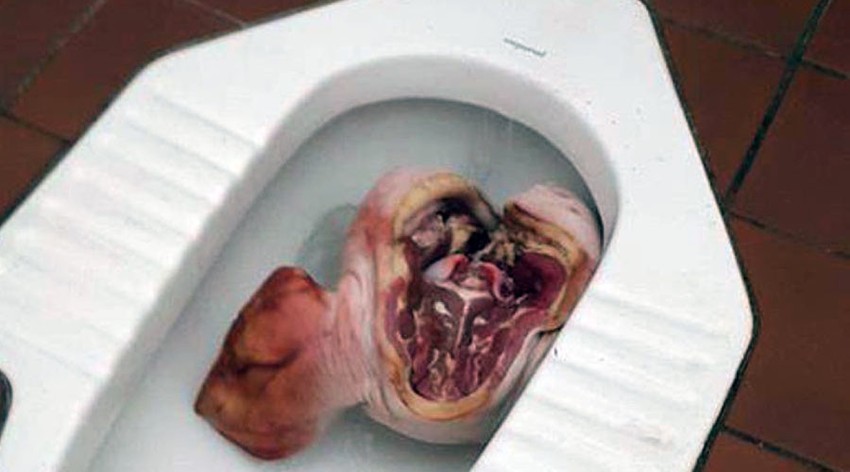 Teška provokacija upućena muslimanskim studentima