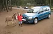 Prosta i zwyczajnie dobra - Test długodystansowy: Dacia Logan MCV 1.5 dCi