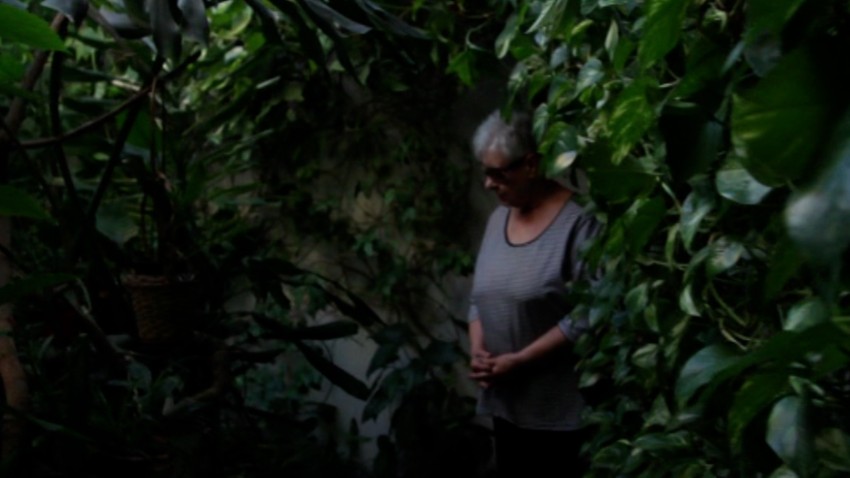 Bašta u zgradi u Novom Sadu