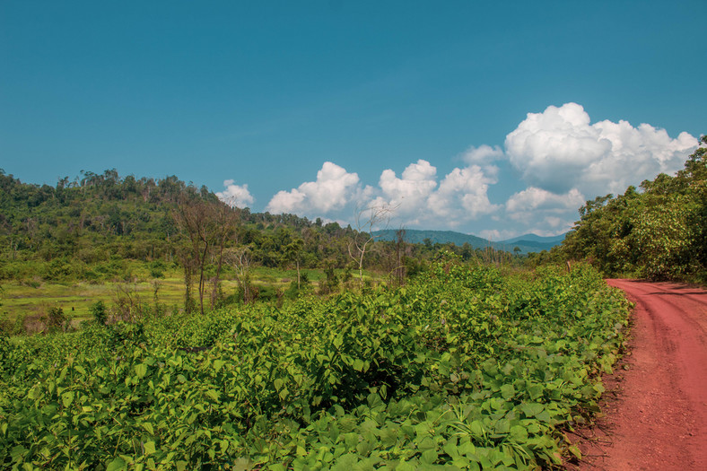 Koh Kong