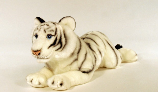 144418_white-tiger