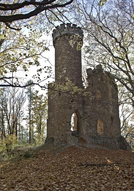 Ruiny zamku Bolczów w Janowicach Wielkich