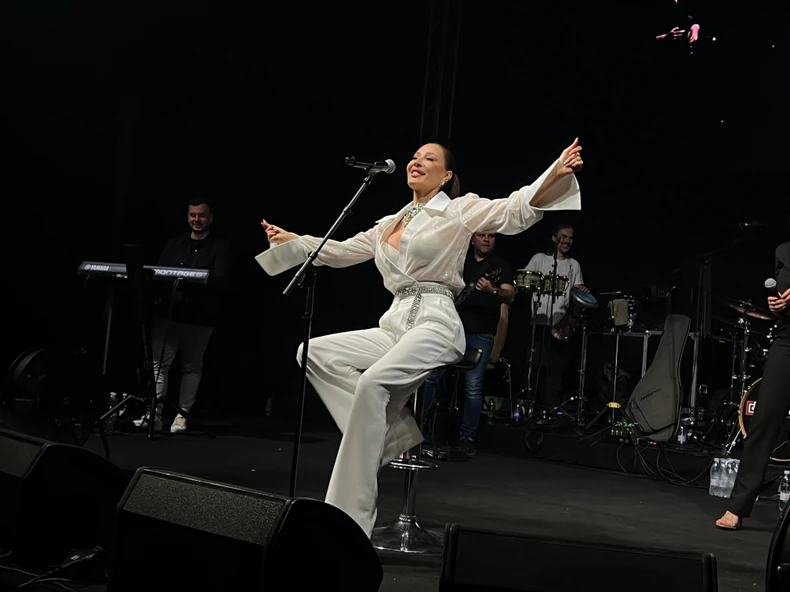Ceca Ražnatović, koncert