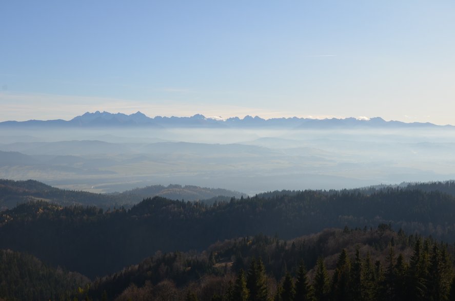 Gorce. Widok na Tatry z wieży widokowej na Magurkach.