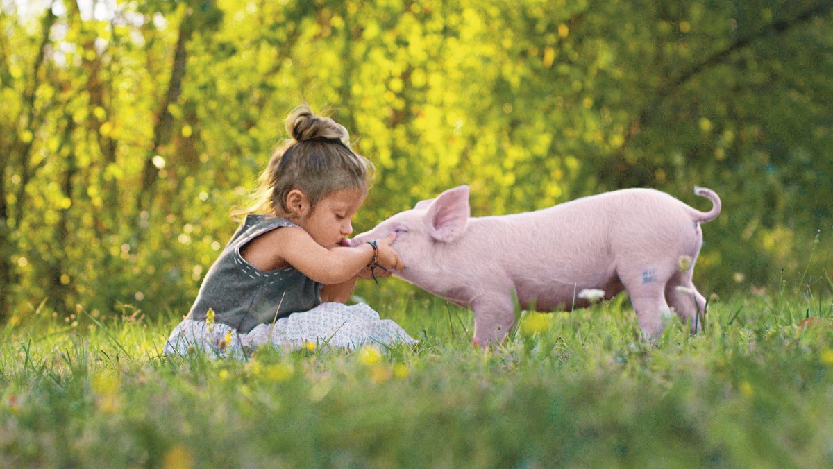 Wegetarian wciąż przybywa, także w Polse