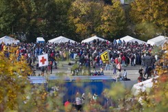 Zamieszki na granicy Słowenii i Austrii. Starcie imigrantów z policjantami