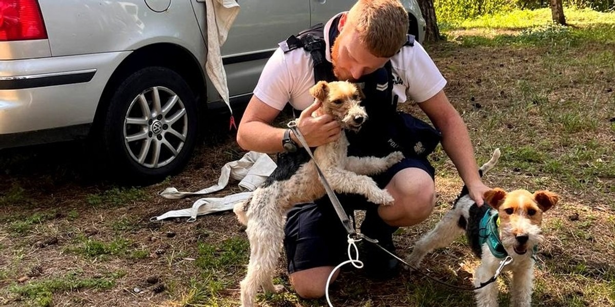 Te kruszynki właściciel zostawił w rozgrzanym samochodzie. Reakcja policjanta aż rozczula