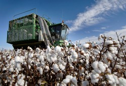 Noworoczne prognozy dla rynku surowców