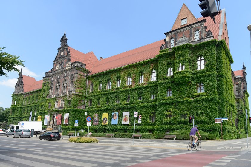 Pejzaż Jana van Goyena eksponowany był przed wojną w Muzeum Narodowym we Wrocławiu, należał do jego najcenniejszych dzieł, które w 1942 r. Niemcy wywieźli