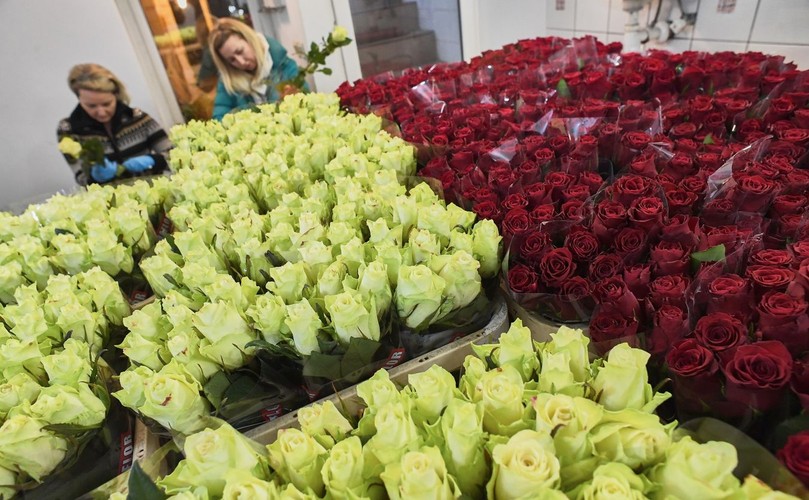 Róże wsparcia dla Lecha Wałęsy