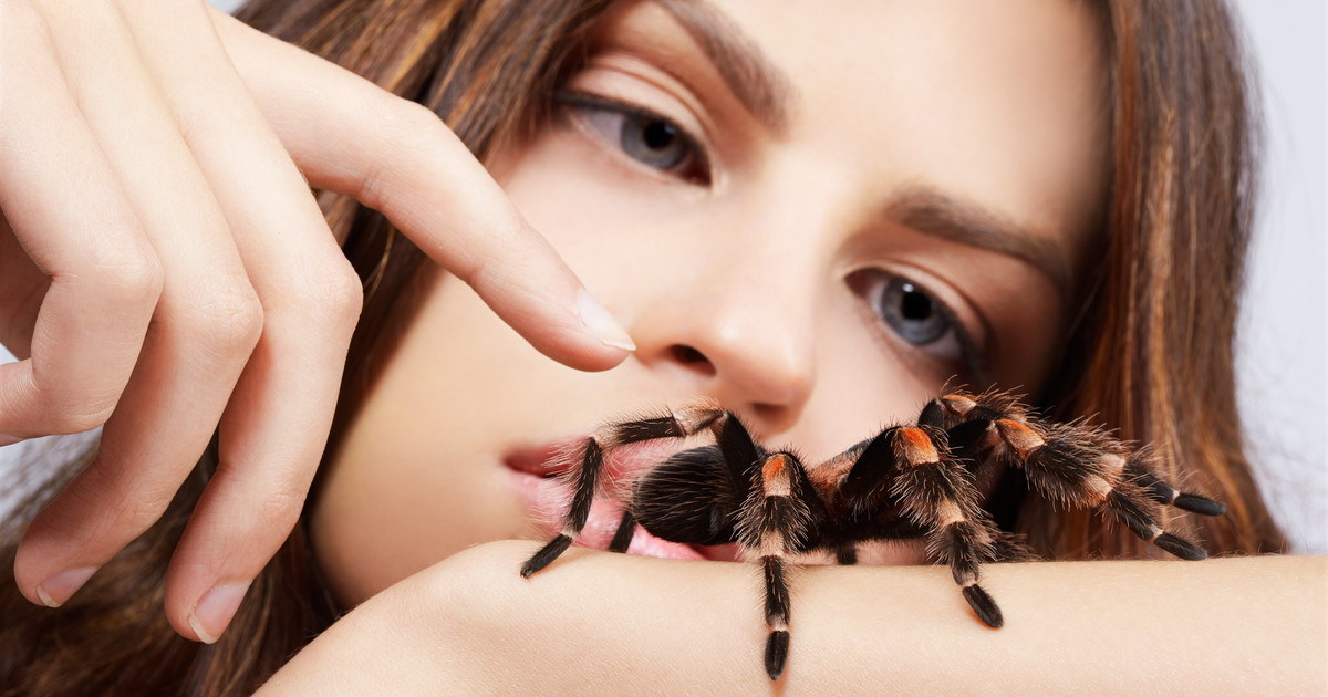 Arachnofobia Przyczyny Oraz Leczenie Za Pomocą Desensytyzacji I Terapii Implozyjnej Zdrowie 4689