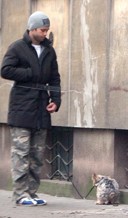 Zakościelny zbiera psie kupki