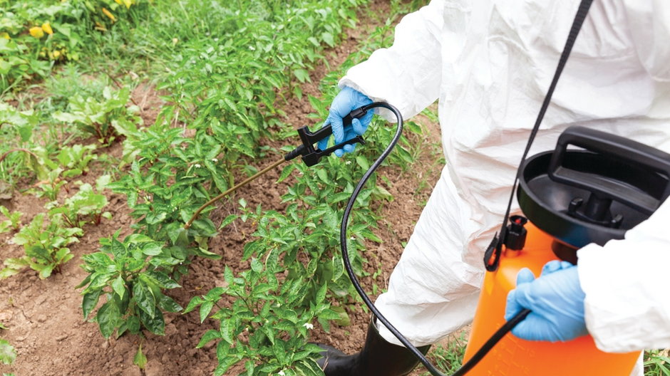 Pestycydy groźniejsze niż glifosat?
