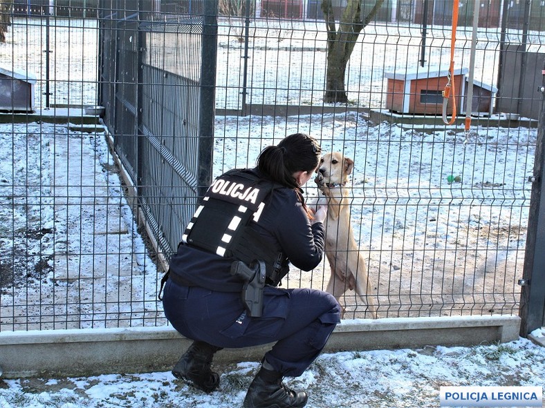 Policjantka przekazała pieniądze z zadośćuczynienia na pomoc dla bezdomnych zwierząt