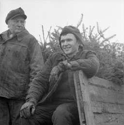 Polskie filmy z czasów PRL z Bożym Narodzeniem w tle. Świąteczny QUIZ dla kinomanów