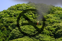 60 tys. zł pójdzie z dymkiem? Polski turysta słono zapłaci za wykroczenie