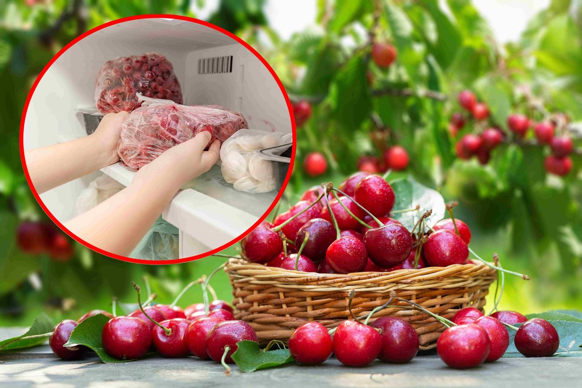 Oto, jak mrozić czereśnie. Lepiej z pestkami czy bez?