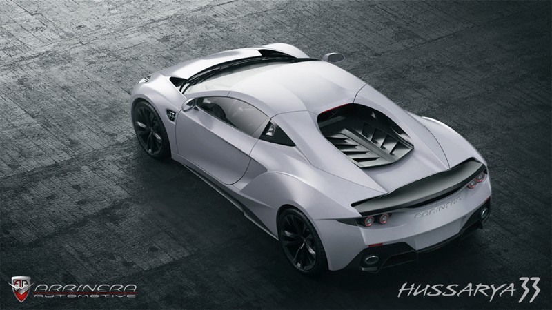 Arrinera hussarya 33
