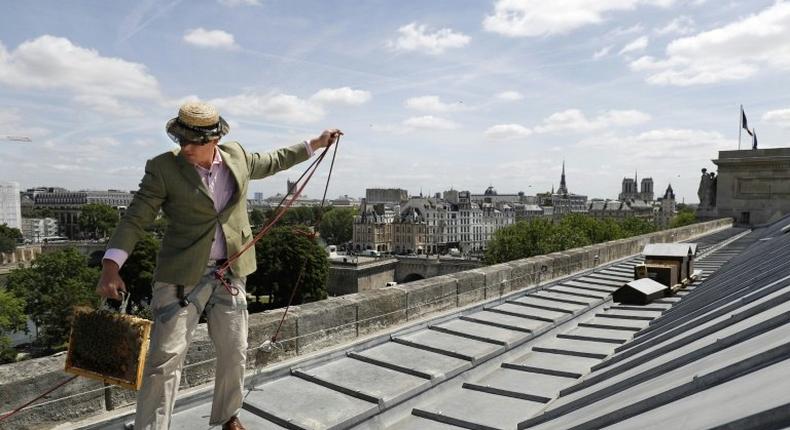 Audric de Campeau is a French urban beekeeper, and his beehives sit atop monuments and office buildings and on rooftop terraces in the French capital