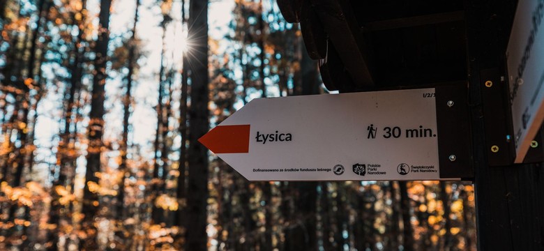 Trasa Wiślana i pętla wokół Łysogór w programie budowy tras rowerowych