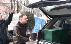 Prezydent kupił choinkę. Ile wydał?
