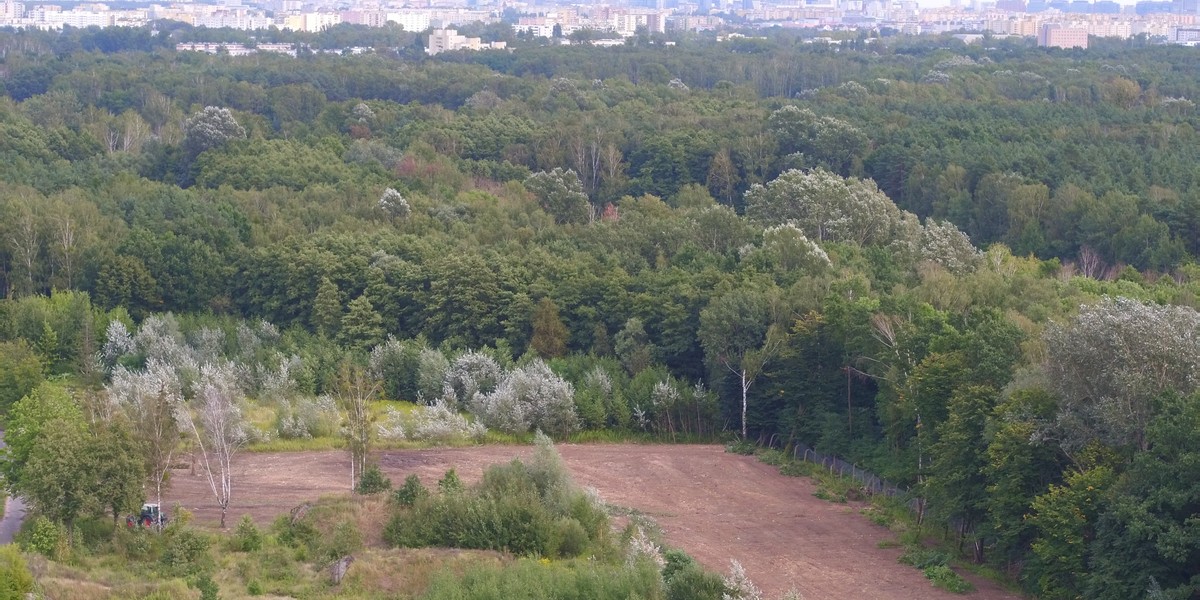 Inwestor już wcześniej chciał na tym terenie postawić szpital, apartamentowce czy też 11 dwukondygnacyjnych domów. Za każdym razem zgody nie wyrażał samorząd.