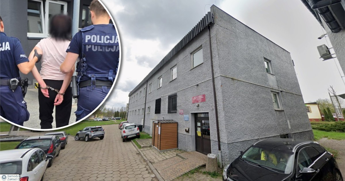 Dantejskie sceny w MOPS Poręba: 48-latka uderzyła urzędniczkę otwartą dłonią i groziła policji