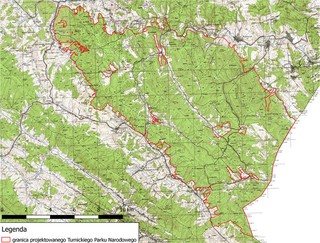 To ostatni moment na ratowanie Puszczy Karpackiej. Za dziesięć lat będzie za późno