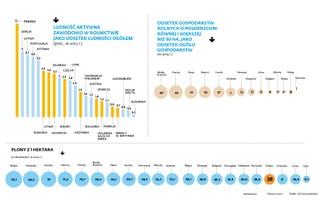 Nie tylko Polska ogranicza obrót ziemią rolną. Zobacz, jak to wygląda w innych krajach UE