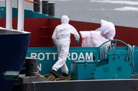 Najpierw hantawirus, teraz ebola — dwie poważne choroby straszą świat. Wyjaśniamy